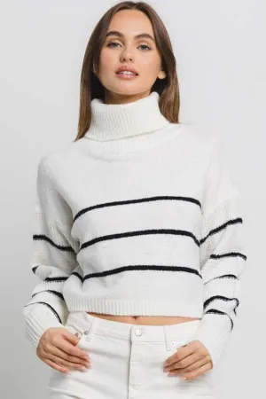 Chunky Knit Striped Turtle Neck Sweater