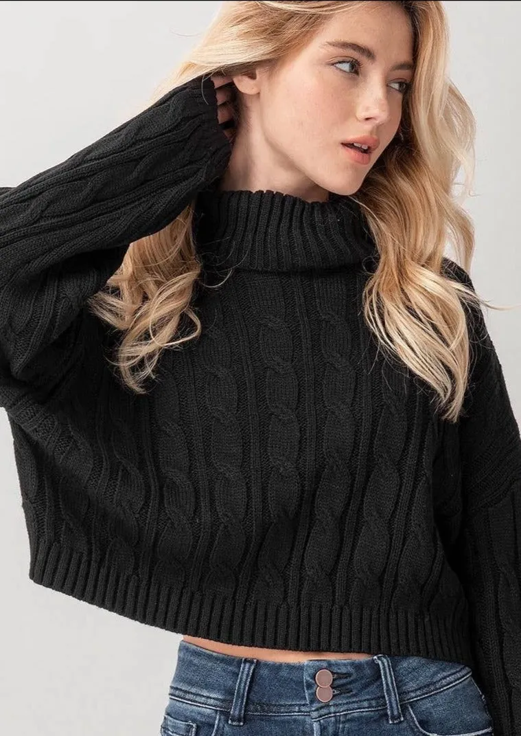 Cropped Black Turtleneck Twist Sweater