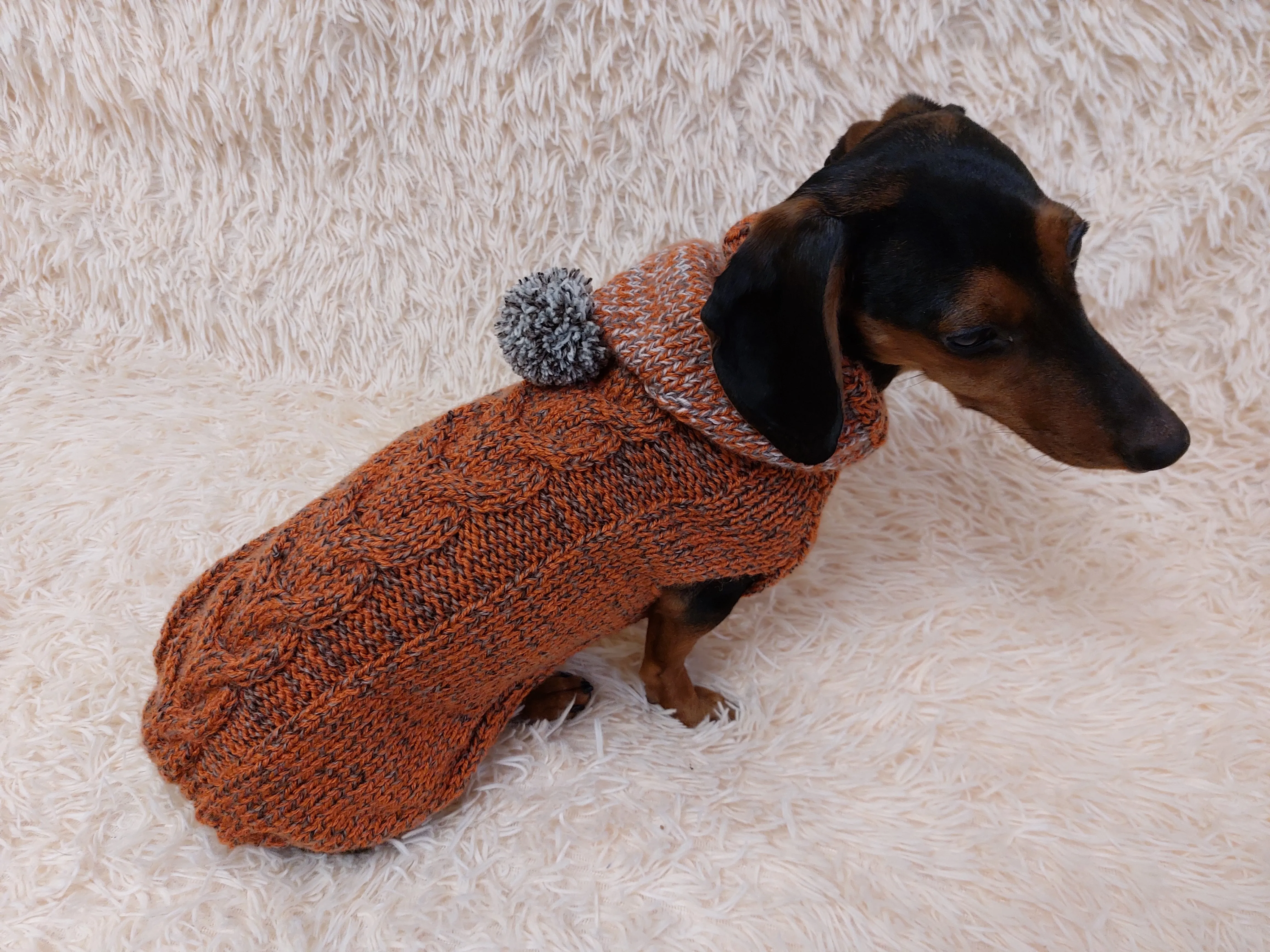 Hooded Dog Sweater, Sweater with hood for dachshund or small dog, sweatshirt knitted for dog