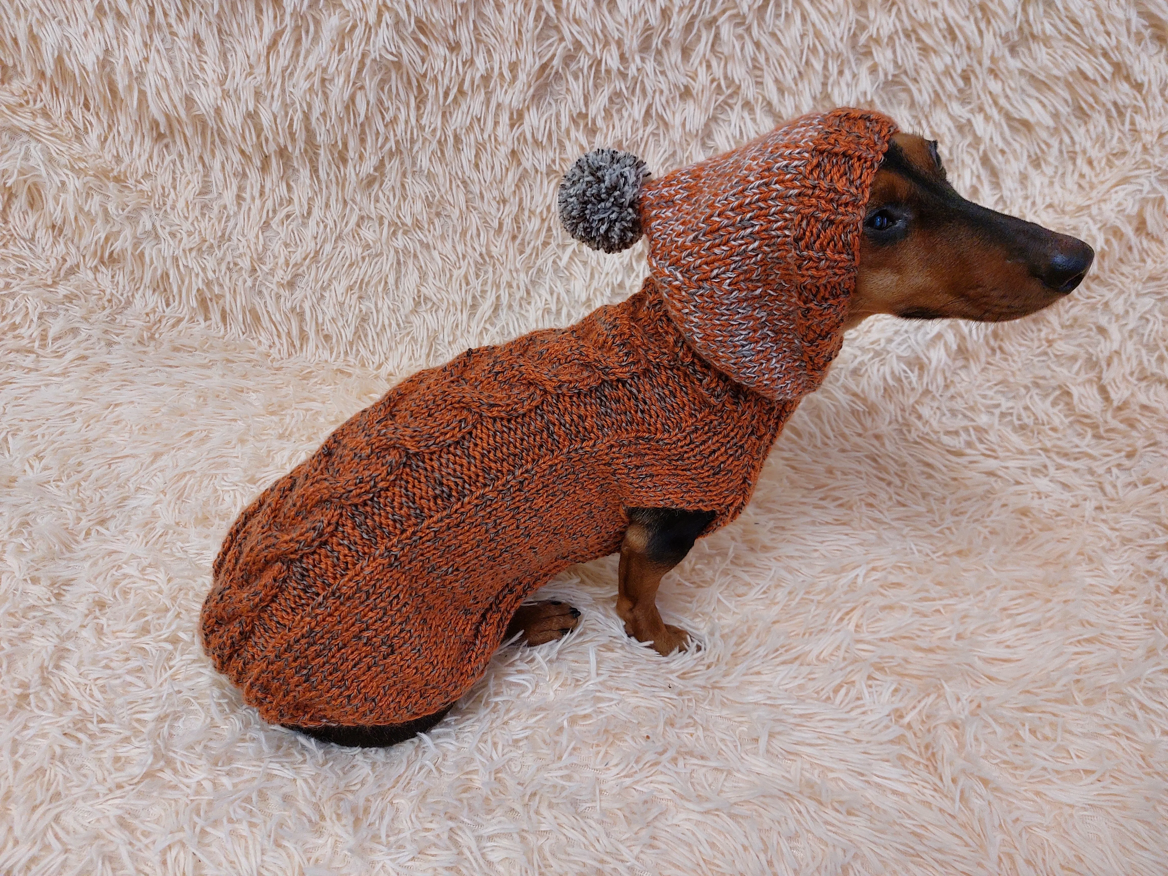 Hooded Dog Sweater, Sweater with hood for dachshund or small dog, sweatshirt knitted for dog