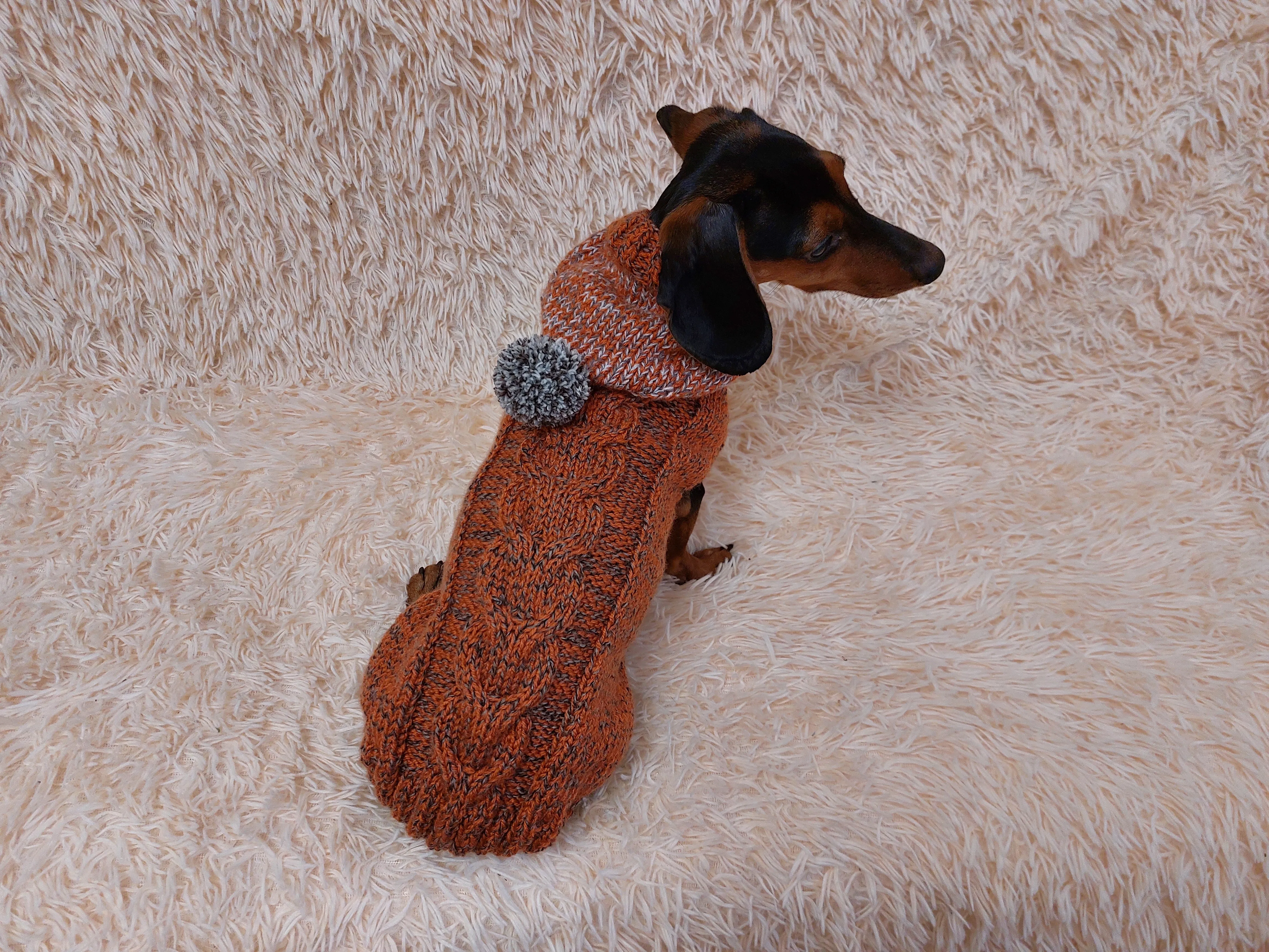 Hooded Dog Sweater, Sweater with hood for dachshund or small dog, sweatshirt knitted for dog