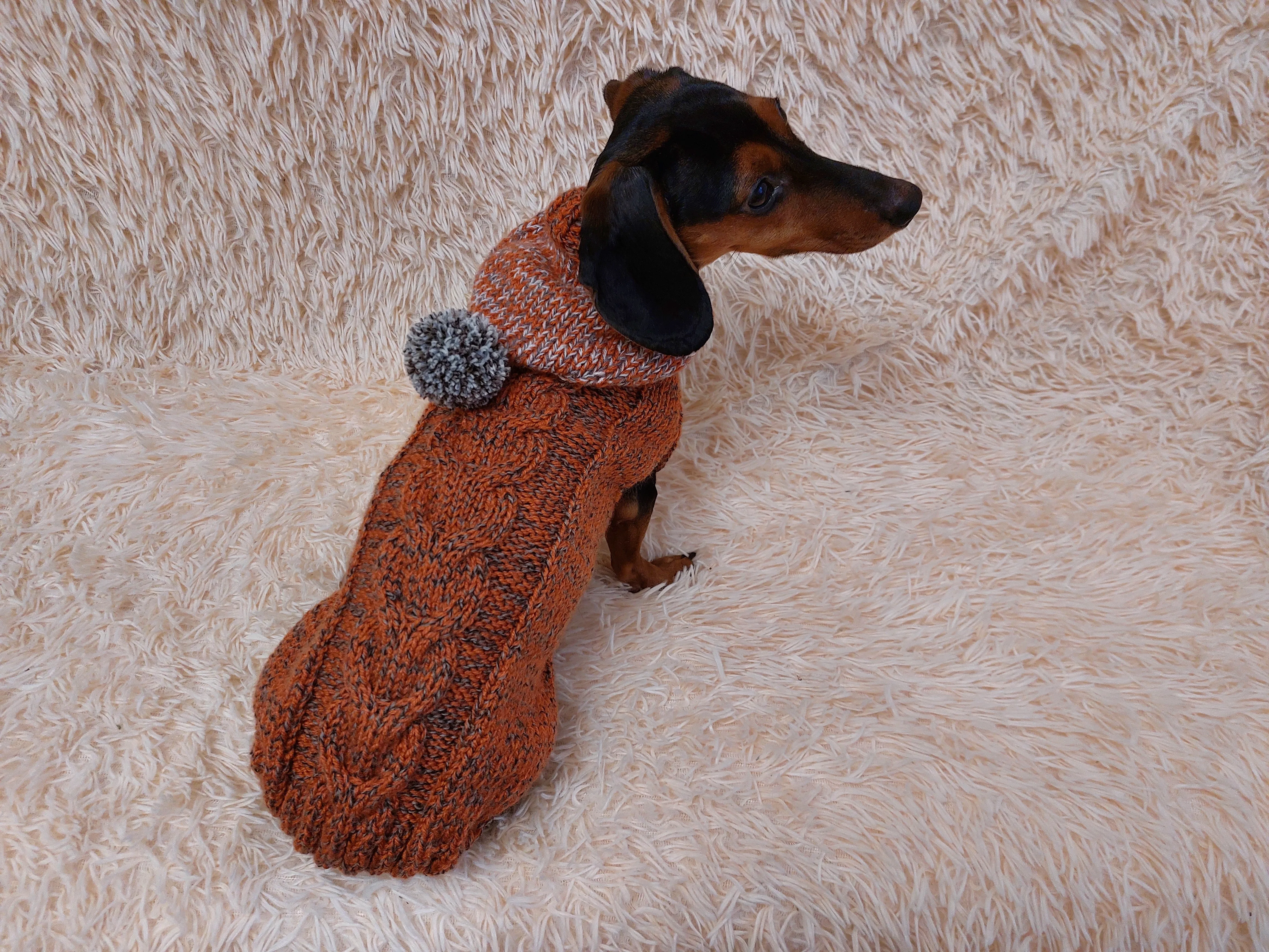 Hooded Dog Sweater, Sweater with hood for dachshund or small dog, sweatshirt knitted for dog