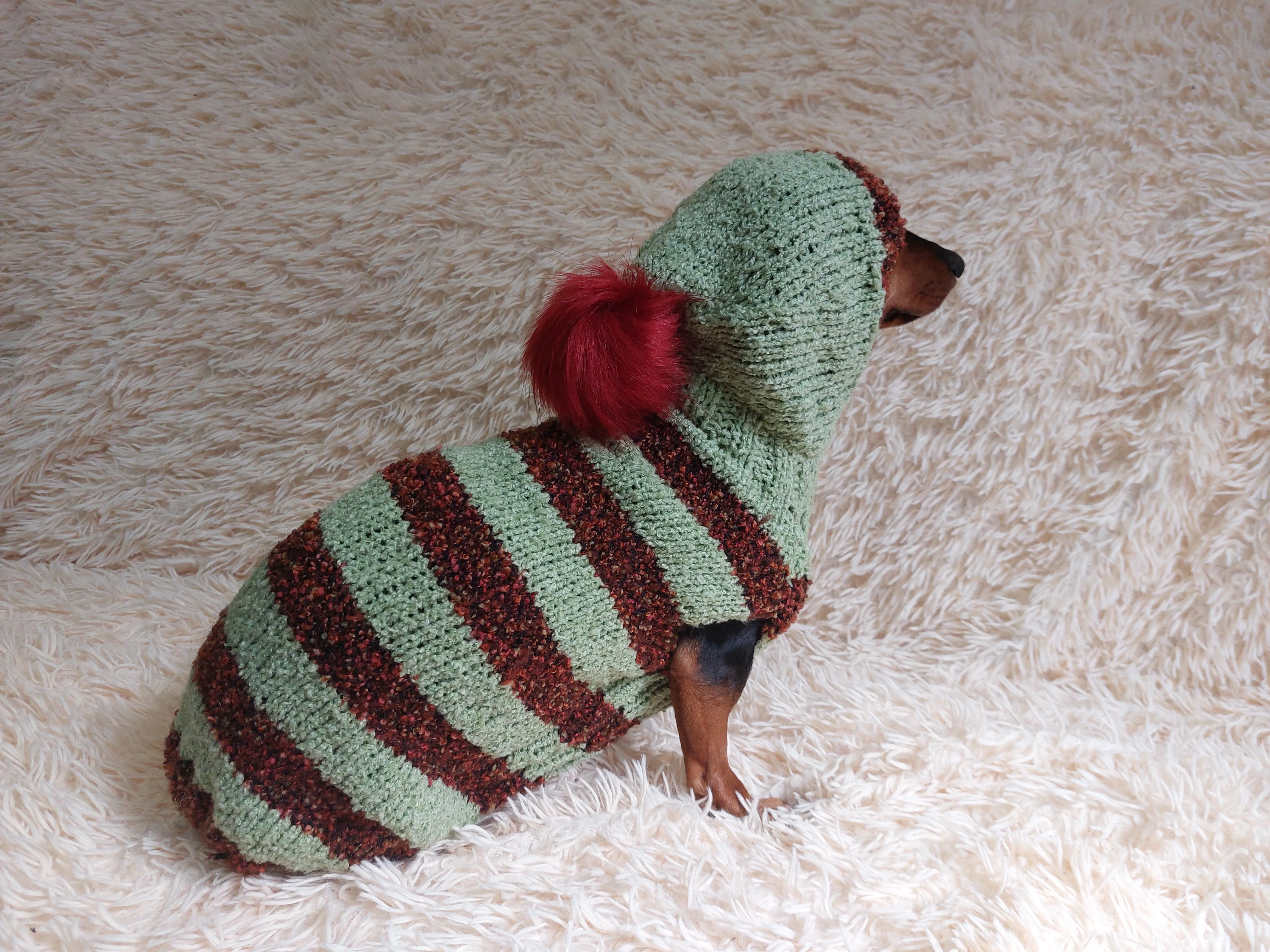 Plush pet hoodie,dog hoodie clothes,warm winter clothes hoodie for dachshund