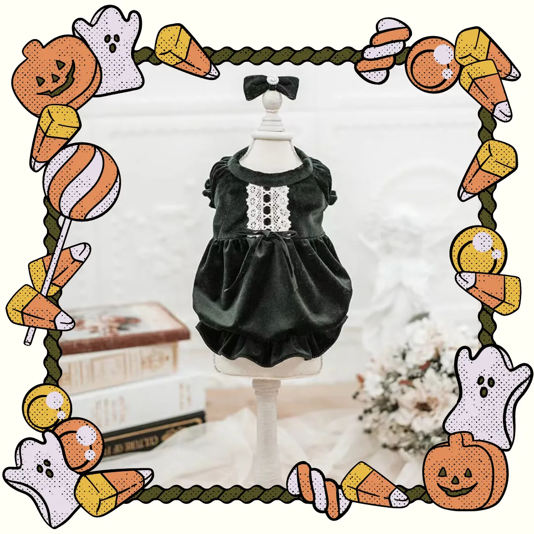 TaniWina Velvet Midnight Pumpkin Dress – Spooky Chic Halloween Edition